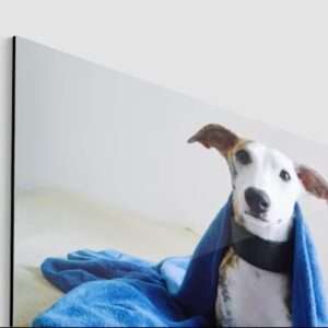 Reproductie op Aluminium